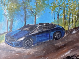 24 Auto als Designobjekt von heute, Acryl auf Leinwand, 50x40cm, 2022, 200 €
