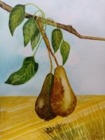Birnen (von der Birnenallee Kleve), Aquarell 30×42cm, 2023, Bild mit Rahmen 125€