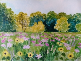 Blumenwiese in der Nähe des Kermisdahls, Wildblumen und andere, z.B. Cosmea, Aquarell 42×30cm, 2023, Bild mit Rahmen 180€