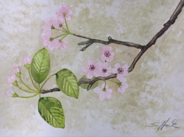 Frühlingsblüten, Aquarell 40×29,7cm, 2023, Bild mit Rahmen 80€