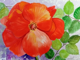 Große rot-orange Rose (mit violettem Hintergrund), Aquarell 42×30cm, 2023, Bild mit Rahmen 200€