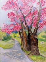 Japanische Kirschblüten am Kermisdahl, Aquarell 30×42cm, 2023, Bild mit Rahmen 180€