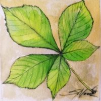 Kastanienblatt, Aquarell 14,7×14,7cm, 2023, Bild mit Rahmen 25€