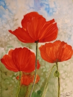 Mohn, Aquarell 30×42cm, 2023, Bild mit Rahmen 125€
