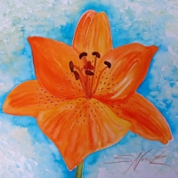 Orange Lilienblüte, Aquarell 30×30cm, 2023, Bild mit Rahmen 50€