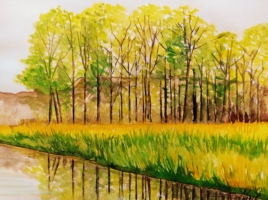 Pappelwäldchen bei der Brücke am Flak im Frühling, Aquarell 48×36cm, 2024, Bild mit Rahmen 200€