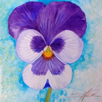 Stiefmütterchen, Aquarell 30×30cm, 2023, Bild mit Rahmen 50€